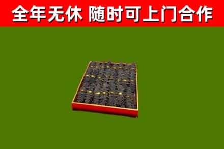 化隆回收海参